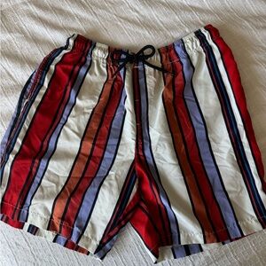Striped Men's Swim Shorts